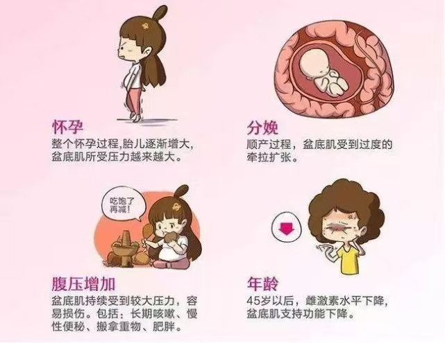 e86d7264bdd5f2b84d3ae9b1cb3f26d.jpg