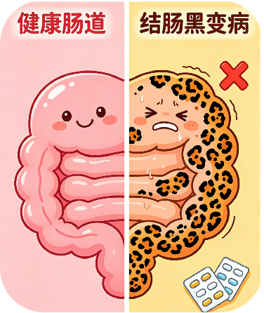 1785376323912025462.png